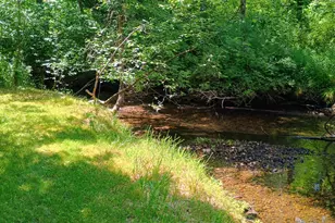 167 Mill Rd, Blanchard, MI 49310 - Photo 10