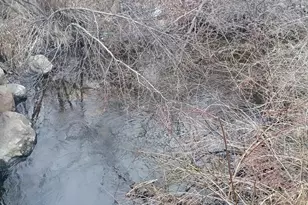 167 Mill Rd, Blanchard, MI 49310 - Photo 20