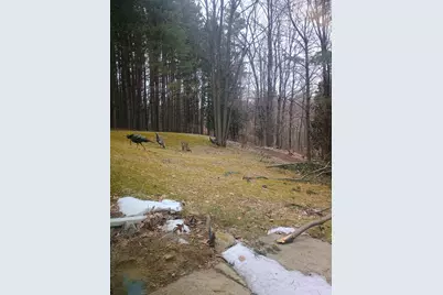 167 Mill Road, Blanchard, MI 49310 - Photo 18
