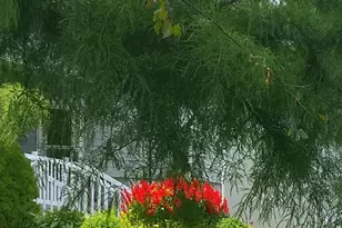 65650 Dailey Rd, Edwardsburg, MI 49112 - Photo 18