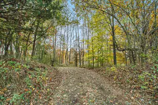 15800 N-Drive N, Marshall, MI 49068 - Photo 1