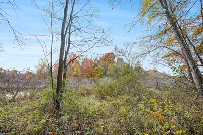 15800 N Drive N, Marshall, MI 49068 - Photo 2