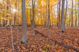 1215 Corporate Dr, Adrian, MI 49221 - Photo 20