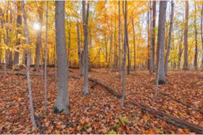 1215 Corporate Drive, Adrian, MI 49221 - Photo 22