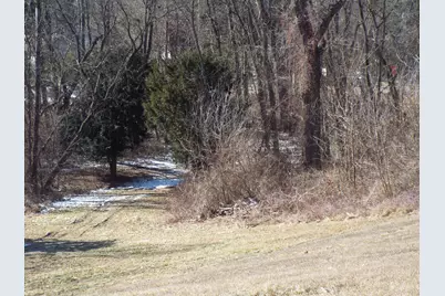 Vl Brills Lake Road, Jackson, MI 49201 - Photo 6