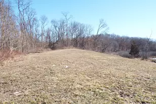 Vl Brills Lake Rd, Jackson, MI 49201 - Photo 1