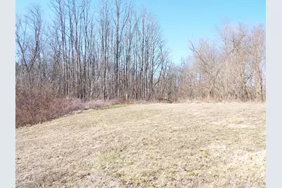 Vl Brills Lake Road, Jackson, MI 49201 - Photo 10