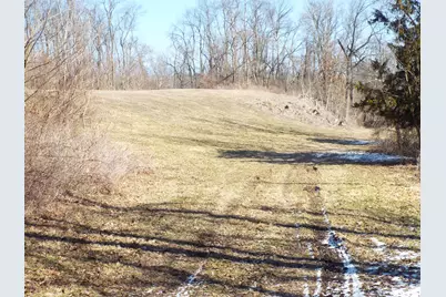 Vl Brills Lake Road, Jackson, MI 49201 - Photo 4