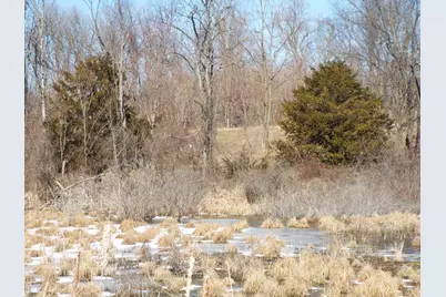 Vl Brills Lake Road, Jackson, MI 49201 - Photo 12