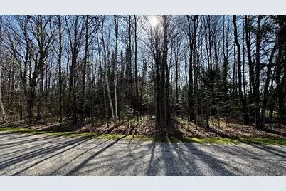 Lot # 9 Whitetail, Cadillac, MI 49601 - Photo 8
