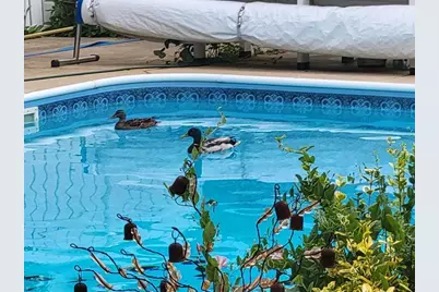 829 Thorntree Boulevard, Jackson, MI 49203 - Photo 16