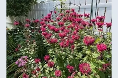 829 Thorntree Boulevard, Jackson, MI 49203 - Photo 32