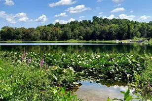 41823 Waukeenah Dr, Paw Paw, MI 49079 - Photo 2