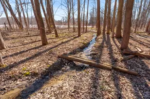 41823 Waukeenah Dr, Paw Paw, MI 49079 - Photo 10