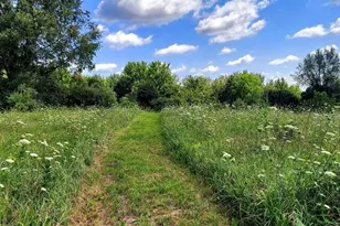 41823 Waukeenah Dr, Paw Paw, MI 49079 - Photo 4