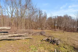 41823 Waukeenah Dr, Paw Paw, MI 49079 - Photo 18