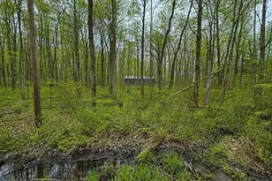 40000 Blk Sycamore Dr, Bangor, MI 49013 - Photo 1