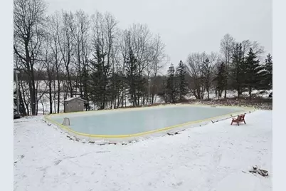 11260 Apache Wells Court, Canadian Lakes, MI 49346 - Photo 20