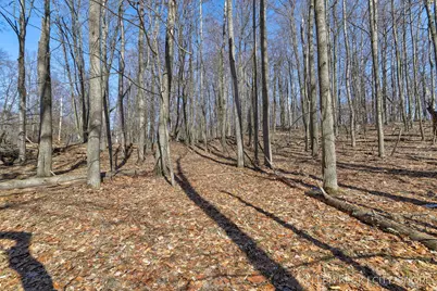 11260 Apache Wells Court, Canadian Lakes, MI 49346 - Photo 2