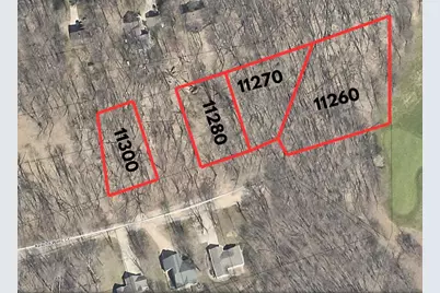 11260 Apache Wells Court, Canadian Lakes, MI 49346 - Photo 4