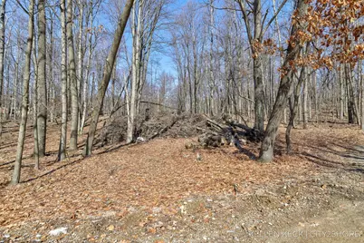 11280 Apache Wells Court, Canadian Lakes, MI 49346 - Photo 2