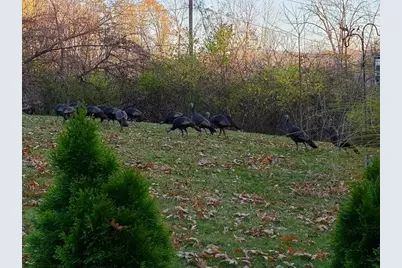 5990 Plymouth Road, Ann Arbor, MI 48105 - Photo 28