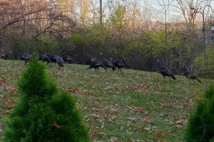 5990 Plymouth Rd, Ann Arbor, MI 48105 - Photo 28