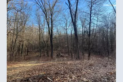 6771 E Chicago Road, Jonesville, MI 49250 - Photo 8