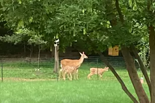 3353 Babylon Rd, Allegan, MI 49010 - Photo 44