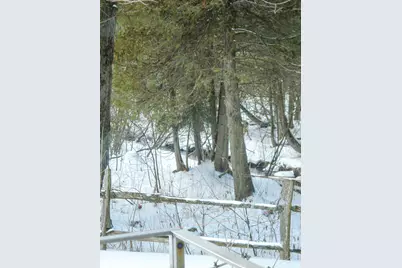 12459 Pierce Road, Stanwood, MI 49346 - Photo 46