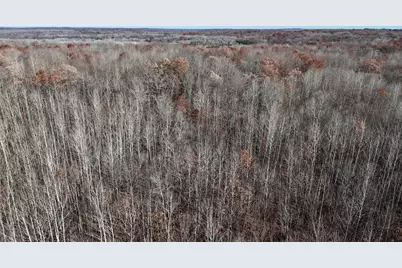 6495 Jackson Avenue, Lake, MI 48632 - Photo 46