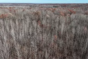 6495 Jackson Ave, Lake, MI 48632 - Photo 46