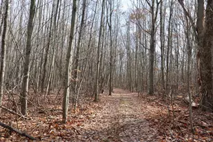 6495 Jackson Ave, Lake, MI 48632 - Photo 10