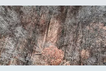 6495 Jackson Avenue, Lake, MI 48632 - Photo 14