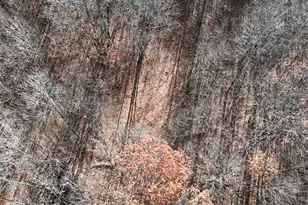 6495 Jackson Ave, Lake, MI 48632 - Photo 14