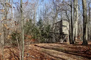 6495 Jackson Ave, Lake, MI 48632 - Photo 50