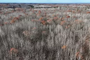 6495 Jackson Ave, Lake, MI 48632 - Photo 48