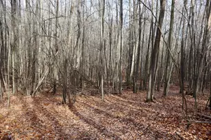 6495 Jackson Ave, Lake, MI 48632 - Photo 36