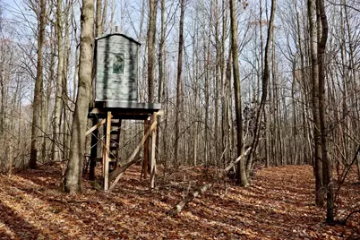 6495 Jackson Avenue, Lake, MI 48632 - Photo 42