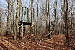 6495 Jackson Ave, Lake, MI 48632 - Photo 42