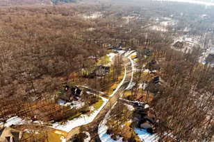 13240 Redmonds Hill Ct, Chelsea, MI 48118 - Photo 68