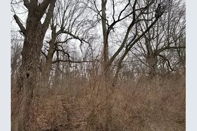 Born Street, Jones, MI 49061 - Photo 26