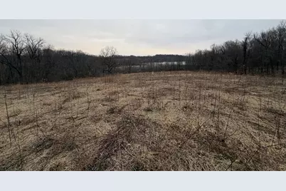 Born Street, Jones, MI 49061 - Photo 38