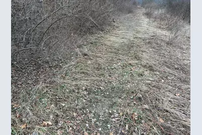 Born Street, Jones, MI 49061 - Photo 18