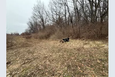 Born Street, Jones, MI 49061 - Photo 30