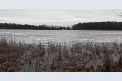 Born Street, Jones, MI 49061 - Photo 28