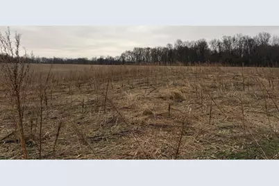 Born Street, Jones, MI 49061 - Photo 34