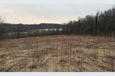 Born Street, Jones, MI 49061 - Photo 14