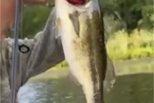 520 N Campbell Rd, Fountain, MI 49410 - Photo 74