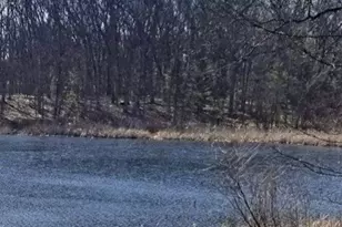 520 N Campbell Rd, Fountain, MI 49410 - Photo 68